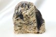 画像7: 原石　タイガーアンバー　スマトラ産　希少　変化　変容　置物　天然石　品番： 14994