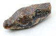 画像2: 原石　ブルーアンバー　スマトラ産　希少　変化　変容　置物　天然石　品番： 14992 (2)