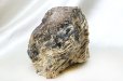 画像6: 原石　タイガーアンバー　スマトラ産　希少　変化　変容　置物　天然石　品番： 14994