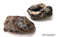 画像3: 原石　ブルーアンバー　スマトラ産　希少　変化　変容　置物　天然石　品番： 15130