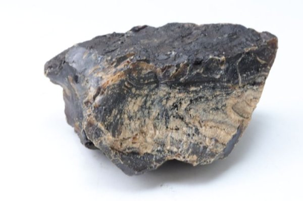 画像2: 原石　ブルーアンバー　スマトラ産　希少　変化　変容　置物　天然石　品番： 15131