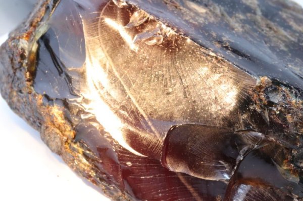 画像3: 原石　ブルーアンバー　スマトラ産　希少　変化　変容　置物　天然石　品番： 15133