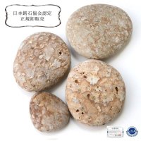 【日本銘石】原石　姫川薬石　〈新潟県〉　約100g　パッケージ付き　健康　安眠　治癒力アップ　品番：15221