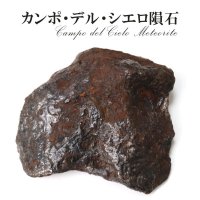【隕石】カンポ・デル・シエロ隕石　約544g　オクタヘドライト　アルゼンチン産　4000〜5000年前　エネルギー　知恵　情報　生命　[一点物]　品番：15489