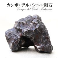 【隕石】カンポ・デル・シエロ隕石　約664g　オクタヘドライト　アルゼンチン産　4000〜5000年前　エネルギー　知恵　情報　生命　[一点物]　品番：15490