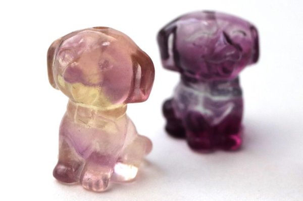 画像4: 置物　ミニ彫り物　フローライト　シーズー（貫通穴）　1個　忠実　忠義　邪気を払う　癒し　浄化　天然石　品番： 15550