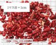 画像3: さざれ　赤サンゴ　コーラル　珊瑚　オリジナルパッケージ付　100gパック　　品番： 10471 (3)