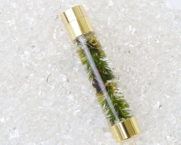 画像4: ハーバリウム　アロマ スタンプ　屋久杉　交換用印面1個付き　マスク　花粉症 　オリジナル　リラックス　品番：15652