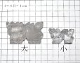 画像5: 置物　彫り物　水晶　龍　大　風水　運気　金運　財運　パワーストーン　品番：15834 (5)