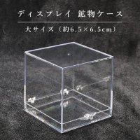 ディスプレイ　鉱物用クリアケース　約6.5×6.5cm　1個　プラスチック　透明　保管　品番：16145