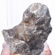画像7: 【現品限り】置物　カンポデルシエロ隕石　アルゼンチン産　約6300g　証明書付き　隕石　空の草原　パワーストーン　天然石　※社内在庫　品番：16677