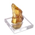 原石　天然アンバー　約9.0〜14.9g　マダガスカル産　癒し　健康　成功　エネルギー　活性化　金運　精神安定　パワーストーン　天然石　品番：17053