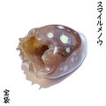 置物　スマイルメノウ　宝袋　マダガスカル産　財運　金運　パワーストーン　天然石　品番：17239