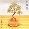 招財樹　植木　ペリドット　金のなる木　風水　財運　健康運　仕事運　縁起物　置物　インテリア　パワーストーン　天然石　品番：17296
