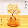 招財樹　植木　シトリン　金のなる木　風水　財運　健康運　仕事運　縁起物　置物　インテリア　パワーストーン　天然石　品番：17294