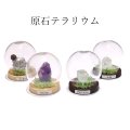 置物　原石テラリウム　1月〜4月誕生石　4個セット　インテリア　浄化　幸せな緑　真実の愛　情熱　パワーストーン　天然石　品番：17622