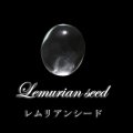 【現品限り】ルース　レムリアンシード　オーバルカット　コロンビア産　ケース付き　癒し　活性化　パワーストーン　天然石　品番：17657