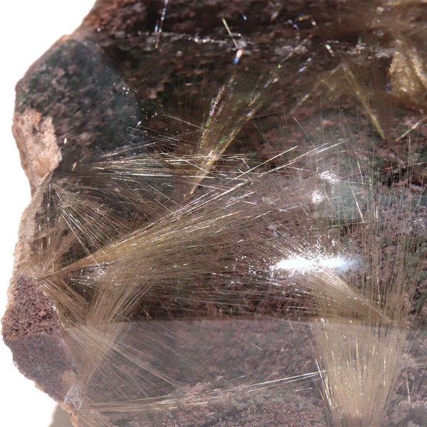 画像6: 【一点物】置物　ガーデン放射ルチルクォーツ（ヴィーナス）　ブラジル産　台付き　金運　財運　ギャンブル運　パワーストーン　天然石　品番：17947