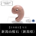 【日本銘石】勾玉　新潟山桜石（新潟チャート）＜新潟県＞　約30mm　活力　精神力　洞察力　パワーストーン　天然石　品番：18088