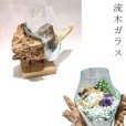 画像1: 置物　流木ガラス　本体のみ　インテリア　風水　ディスプレイ　ランダム発送　縁起物　品番：18140 (1)