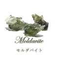 原石　モルダバイト　チェコ産　約0.4〜0.7g　ケース入り　品番：18757