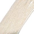 連　淡水パール　エッグタンブル型　約3mm　品番：18806