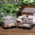 置物　鉱物　標本BOX　原石　雑貨　インテリア　ランダム発送　品番：18935
