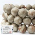 【日本銘石】ブレス　土佐桜　〈高知県〉　10mm　品番：　9594