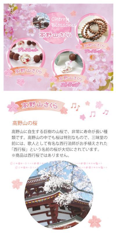 https://www.stoneclub.jp/data/stoneclub/image/201801/kouyasan-sakura-phone01.jpg