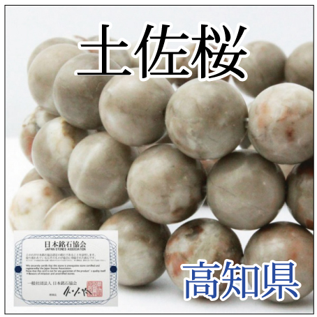 https://www.stoneclub.jp/data/stoneclub/image/2019/nihon-meiseki-bana/tosazakura.jpg