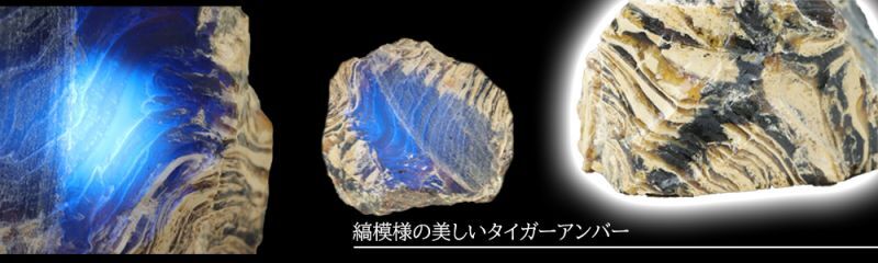 ◇インドネシア・スマトラ産「ブルーアンバー」「タイガー