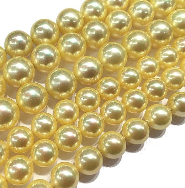 画像2: 【売切50%OFF(表示価格が割引後の金額)】連 シェルパール イエロー 丸 8mm    ※割引クーポン・ポイント付与対象外 品番: 9948 (2)