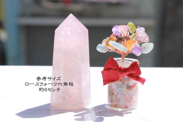 画像4: 置物 オーナメント ミニボトル入り ミックスカラー 招財樹 風水 縁起物 インテリア 品番:11397 (4)