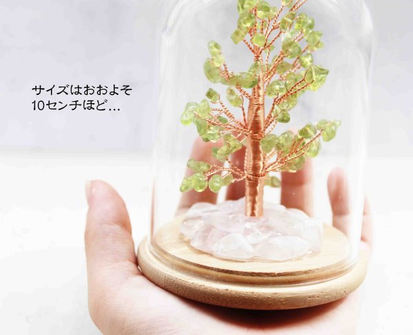 画像3: 置物 オーナメント ドーム入り ペリドット 招財樹 風水 縁起物 インテリア 品番:11498 (3)