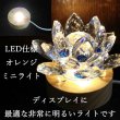 画像1: 【オススメ！】インテリア照明　LEDランプ　ディスプレイ　オレンジライト　ミニサイズ　品番： 11855 (1)