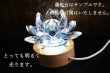 画像2: インテリア照明　LEDライト　ディスプレイ　ホワイトライト　ミニサイズ　10個セット　品番： 16971 (2)