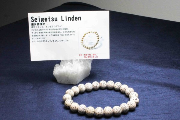 画像6: 【パワーズウッド】ブレス 星月菩提樹 8.5mm 品番: 10597 (6)