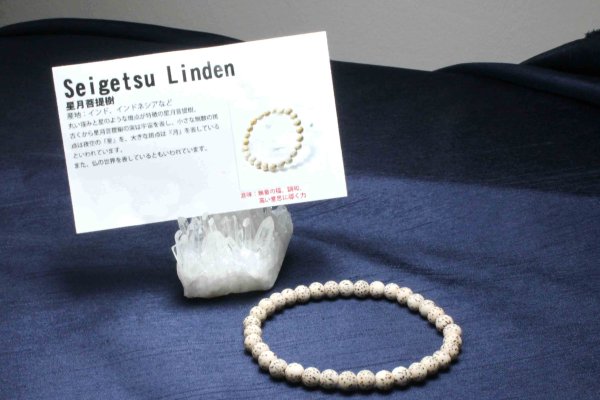 画像6: 【パワーズウッド】ブレス 星月菩提樹 5mm パワーズウッド 品番: 11584 (6)