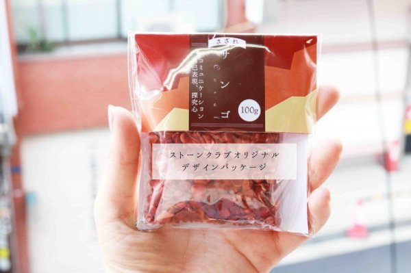 画像4: さざれ 赤サンゴ コーラル 珊瑚 オリジナルパッケージ付 100gパック  品番: 10471 (4)