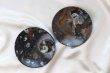 画像4: アンモナイト　小皿　丸型　インテリア　化石　ディスプレイ　浄化　直径約10.5cm　品番： 12409 (4)