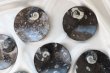 画像6: アンモナイト　小皿　丸型　インテリア　化石　ディスプレイ　浄化　直径約10.5cm　品番： 12409 (6)