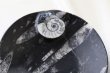 画像2: アンモナイト　大皿　丸型　インテリア　化石　ディスプレイ　浄化　直径約16cm　品番： 12413 (2)