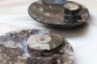 画像3: アンモナイト　小皿　丸型　インテリア　化石　ディスプレイ　浄化　直径約10.5cm　品番： 12409 (3)