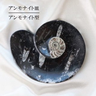 アンモナイト 皿 楕円型 インテリア 化石 ディスプレイ 浄化 約