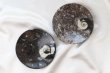 画像5: アンモナイト　小皿　丸型　インテリア　化石　ディスプレイ　浄化　直径約10.5cm　品番： 12409 (5)