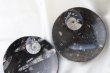 画像5: アンモナイト　大皿　丸型　インテリア　化石　ディスプレイ　浄化　直径約16cm　品番： 12413 (5)