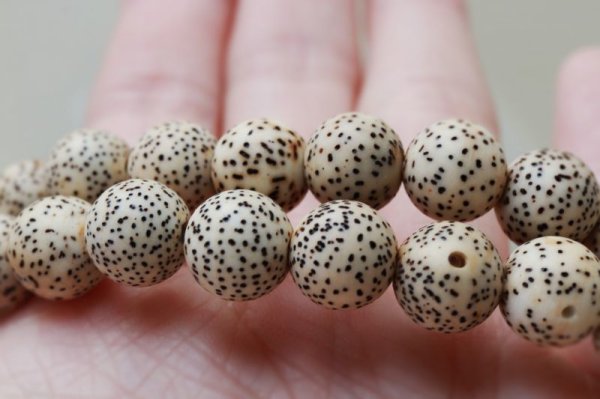 画像3: 【パワーズウッド】ブレス 星月菩提樹 約7〜8mm 無数の福 調和 高い意志に導く力 品番: 4622 (3)