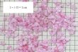画像3: さざれ石　爆裂水晶　クラック水晶　ピンク　カラー　100g　パッケージ付き　浄化　開運　厄除け　品番： 12534 (3)