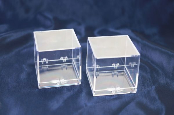 画像3: ディスプレイ 鉱物用クリアケース 大 約5x5cm 1個 プラスチック 透明 保管 品番: 12622 (3)