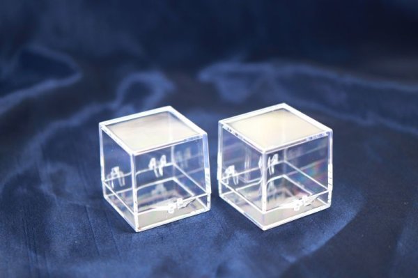 画像3: ディスプレイ 鉱物用クリアケース 小 約3x3cm 1個 プラスチック 透明 保管 品番: 12621 (3)